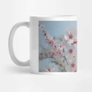 Bee in Almond Flower Mug